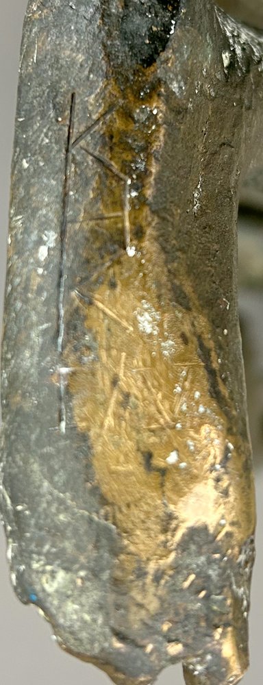 Auktionshaus Quentin Berlin Hochaufgelöste Fotos der 52. Auktion