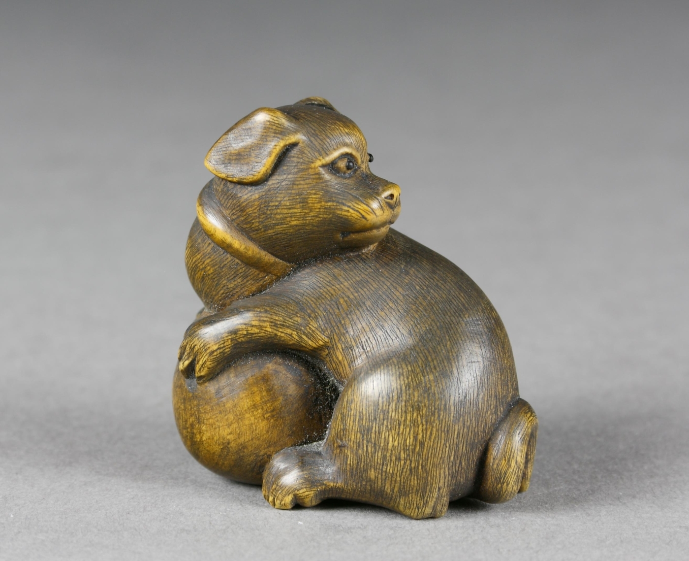 Auktionshaus Quentin Berlin  Möbel / Einrichtungsgegenstände Japan  Netsuke  Buchsbaum  20. Jh.  Sitzender Hund