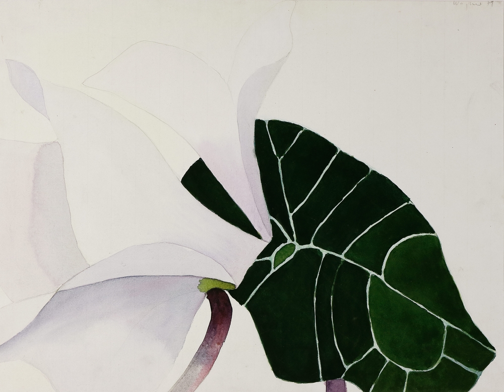 Auktionshaus Quentin Berlin  Zeichnungen Wagner  Reiner  Blüte und Blatt. 1979